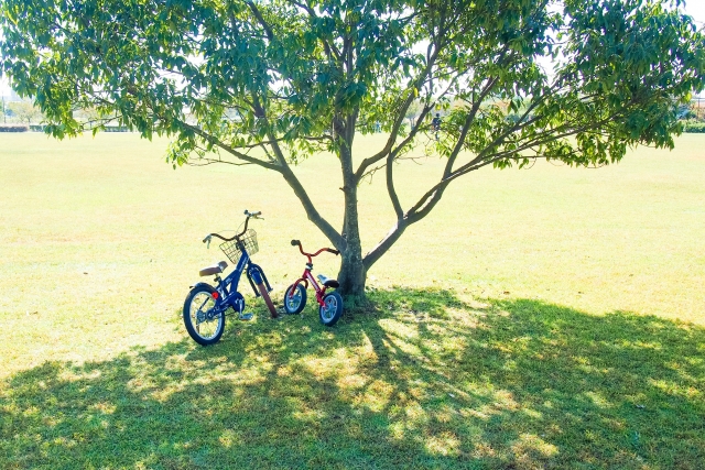 自転車の写真